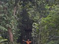 Tn DSC 4323